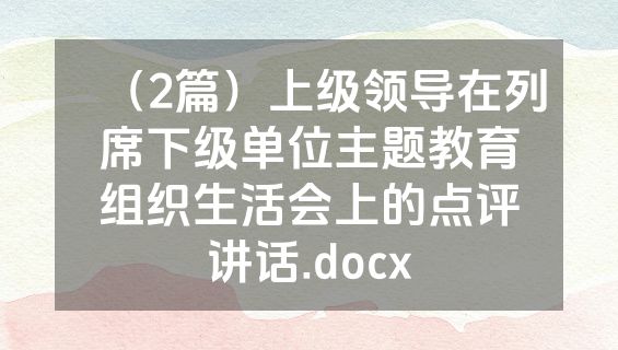 （2篇）上级领导在列席下级单位主题教育组织生活会上的点评讲话.docx