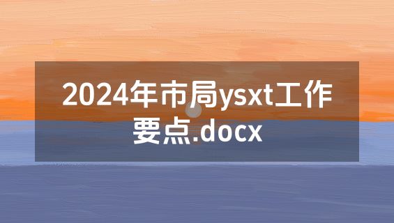2024年市局ysxt工作要点.docx