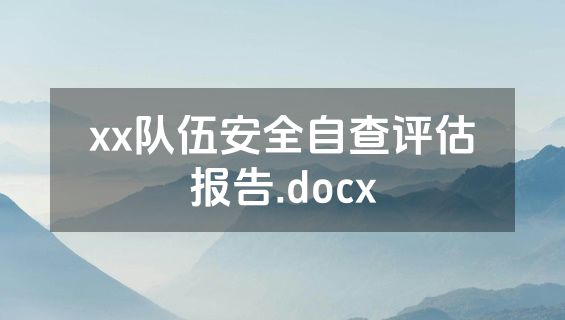 xx队伍安全自查评估报告.docx