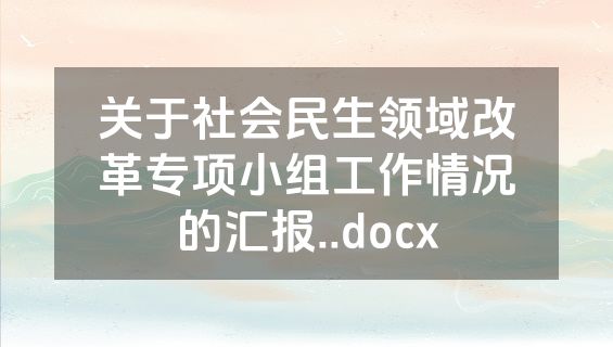 关于社会民生领域改革专项小组工作情况的汇报..docx