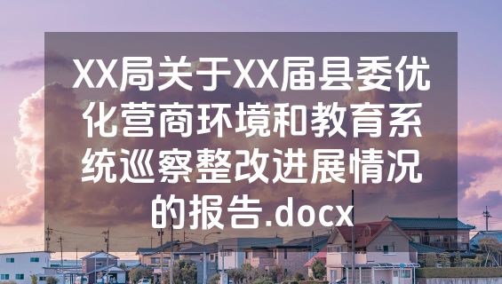 XX局关于XX届县委优化营商环境和教育系统巡察整改进展情况的报告.docx