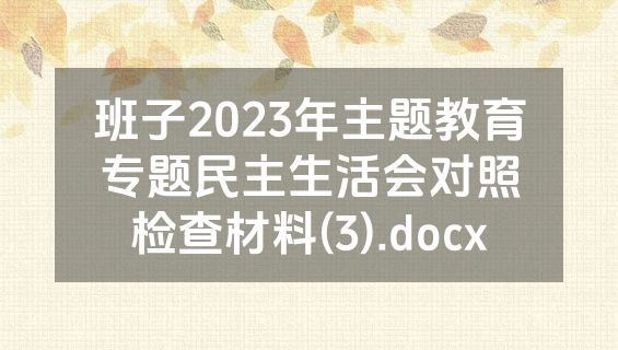 班子2023年主题教育专题民主生活会对照检查材料(3).docx