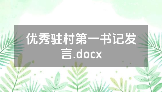 优秀驻村第一书记发言.docx