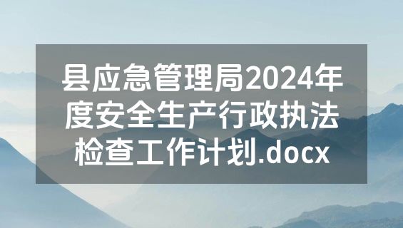 县应急管理局2024年度安全生产行政执法检查工作计划.docx