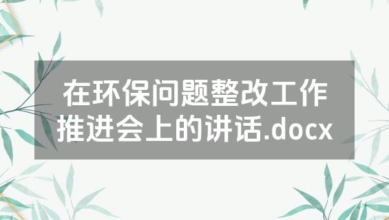在环保问题整改工作推进会上的讲话.docx
