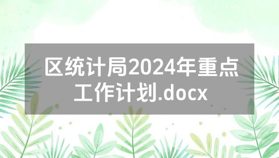 区统计局2024年重点工作计划.docx