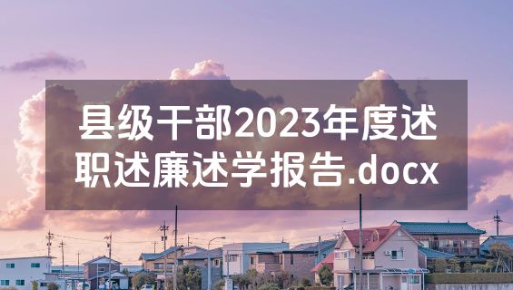 县级干部2023年度述职述廉述学报告.docx