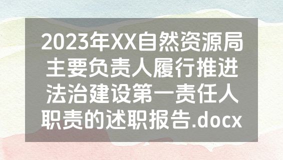 2023年XX自然资源局主要负责人履行推进法治建设第一责任人职责的述职报告.docx