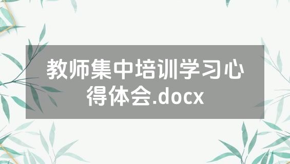 教师集中培训学习心得体会.docx