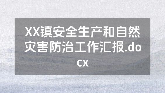 XX镇安全生产和自然灾害防治工作汇报.docx