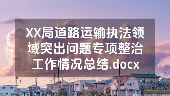 XX局道路运输执法领域突出问题专项整治工作情况总结.docx