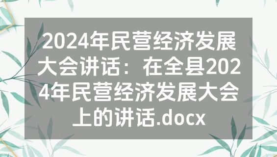 2024年民营经济发展大会讲话：在全县2024年民营经济发展大会上的讲话.docx