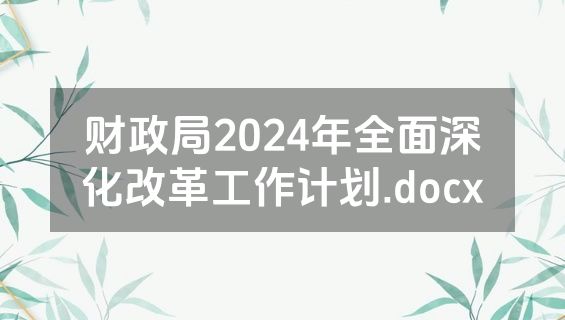 财政局2024年全面深化改革工作计划.docx