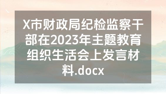 X市财政局纪检监察干部在2023年主题教育组织生活会上发言材料.docx