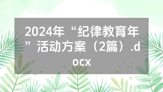 2024年“纪律教育年”活动方案（2篇）.docx