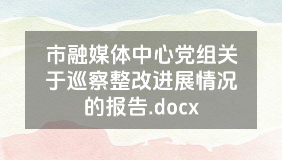 市融媒体中心党组关于巡察整改进展情况的报告.docx