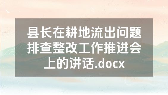 县长在耕地流出问题排查整改工作推进会上的讲话.docx