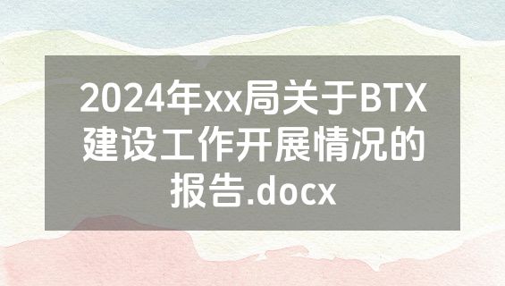 2024年xx局关于BTX建设工作开展情况的报告.docx