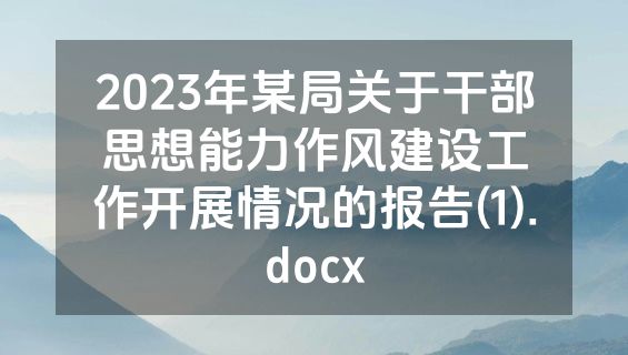 2023年某局关于干部思想能力作风建设工作开展情况的报告(1).docx