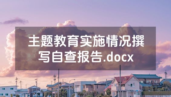 主题教育实施情况撰写自查报告.docx