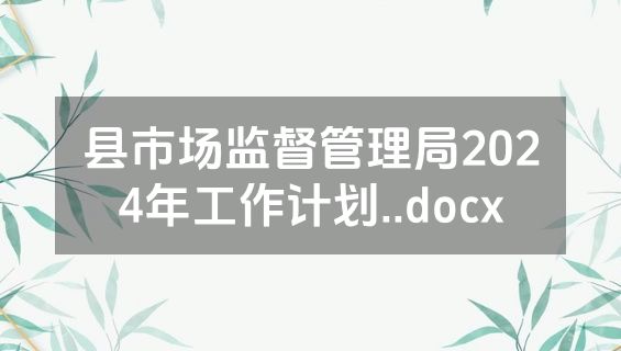 县市场监督管理局2024年工作计划..docx