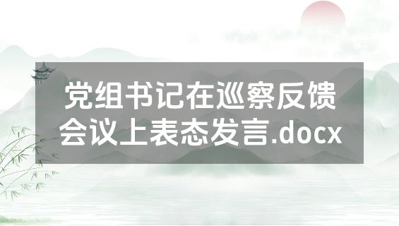 党组书记在巡察反馈会议上表态发言.docx