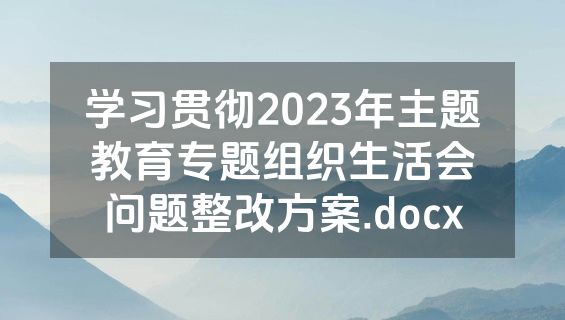 学习贯彻2023年主题教育专题组织生活会问题整改方案.docx