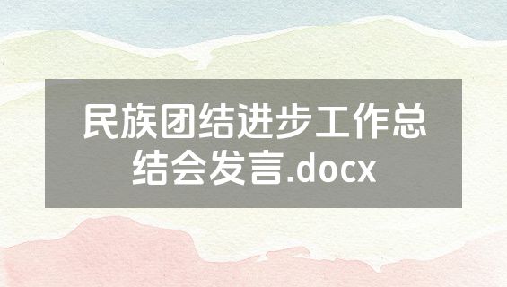 民族团结进步工作总结会发言.docx