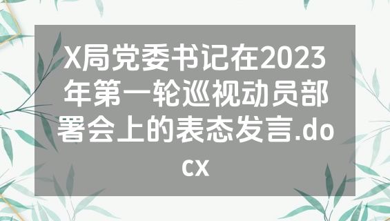 X局党委书记在2023年第一轮巡视动员部署会上的表态发言.docx