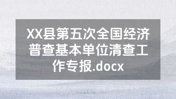 XX县第五次全国经济普查基本单位清查工作专报.docx