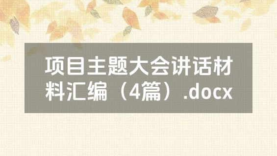 项目主题大会讲话材料汇编（4篇）.docx