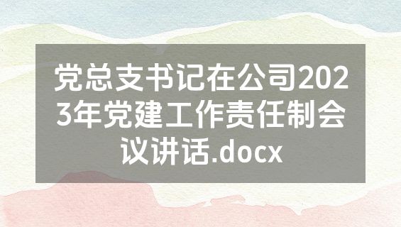 党总支书记在公司2023年党建工作责任制会议讲话.docx