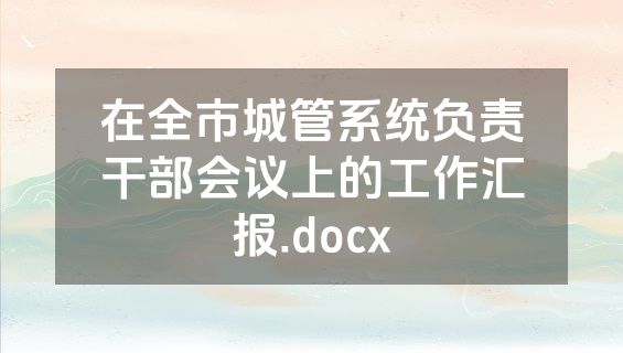 在全市城管系统负责干部会议上的工作汇报.docx