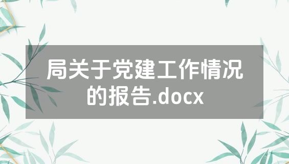 局关于党建工作情况的报告.docx