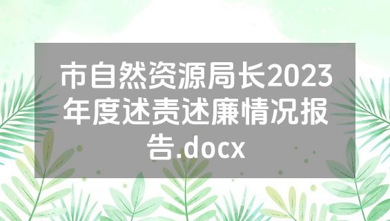 市自然资源局长2023年度述责述廉情况报告.docx