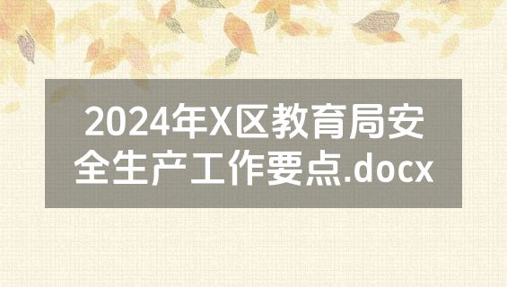 2024年X区教育局安全生产工作要点.docx