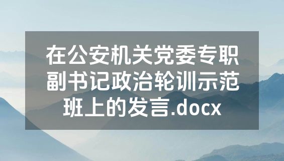 在公安机关党委专职副书记政治轮训示范班上的发言.docx