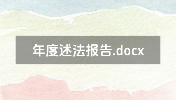 年度述法报告.docx