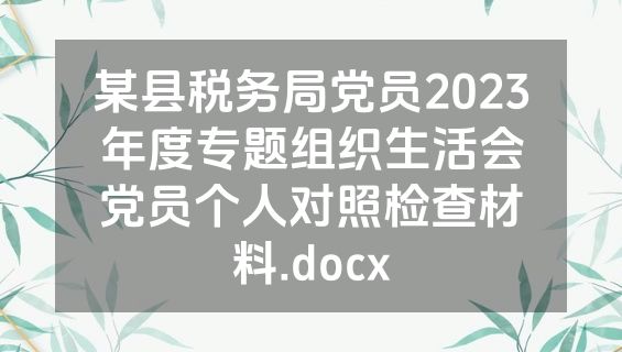 某县税务局党员2023年度专题组织生活会党员个人对照检查材料.docx