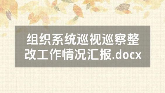 组织系统巡视巡察整改工作情况汇报.docx
