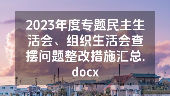 2023年度专题民主生活会、组织生活会查摆问题整改措施汇总.docx