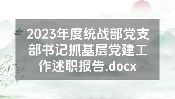 2023年度统战部党支部书记抓基层党建工作述职报告.docx