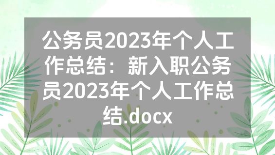 公务员2023年个人工作总结：新入职公务员2023年个人工作总结.docx