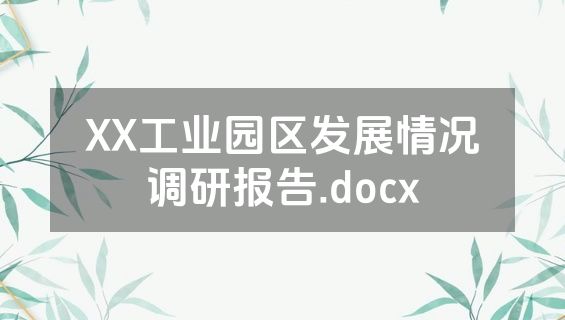 XX工业园区发展情况调研报告.docx