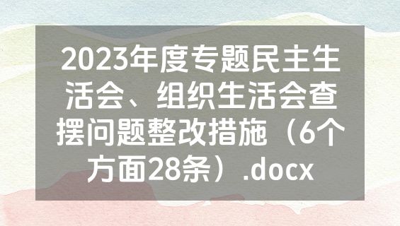 2023年度专题民主生活会、组织生活会查摆问题整改措施（6个方面28条）.docx