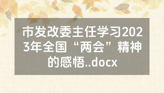 市发改委主任学习2023年全国“两会”精神的感悟..docx