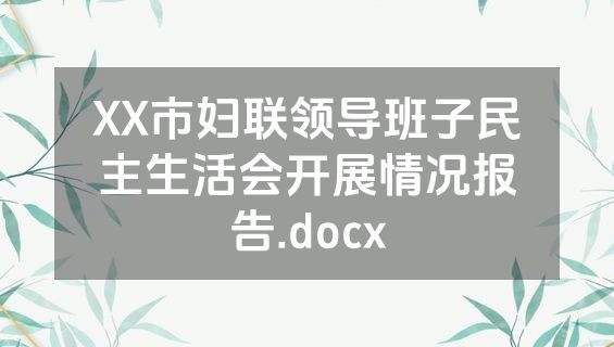 XX市妇联领导班子民主生活会开展情况报告.docx