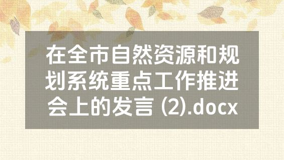 在全市自然资源和规划系统重点工作推进会上的发言 (2).docx