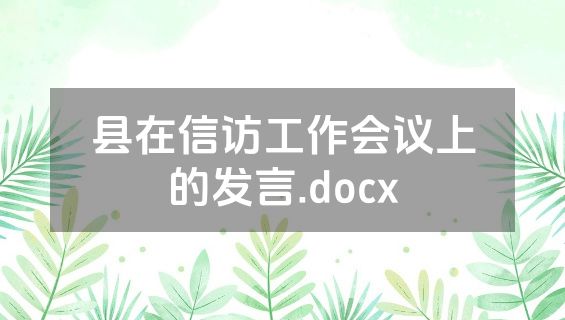 县在信访工作会议上的发言.docx