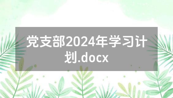 党支部2024年学习计划.docx